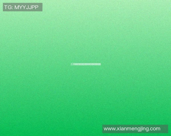 23号球衣篮球明星的传奇故事与辉煌成就解析