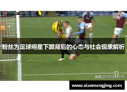 粉丝为足球明星下跪背后的心态与社会现象解析