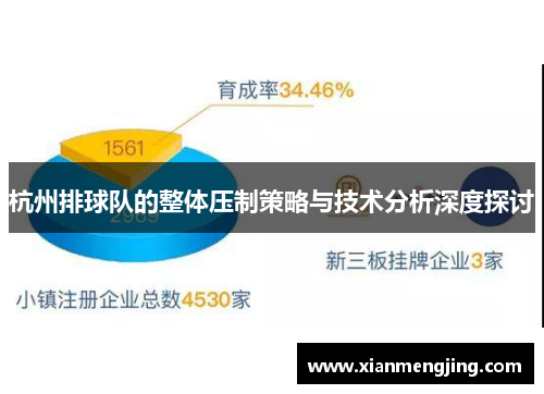 杭州排球队的整体压制策略与技术分析深度探讨
