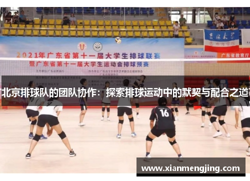 北京排球队的团队协作：探索排球运动中的默契与配合之道