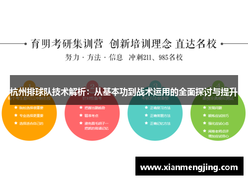 杭州排球队技术解析：从基本功到战术运用的全面探讨与提升