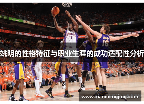 姚明的性格特征与职业生涯的成功适配性分析