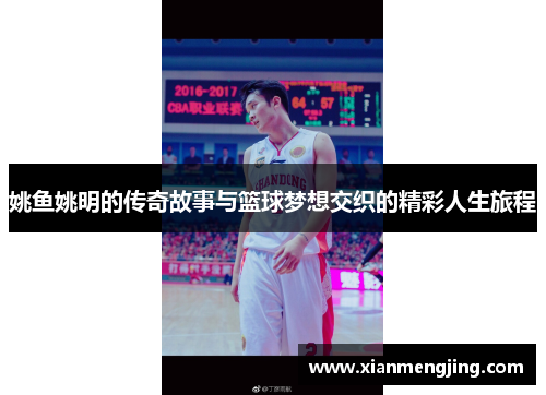 姚鱼姚明的传奇故事与篮球梦想交织的精彩人生旅程