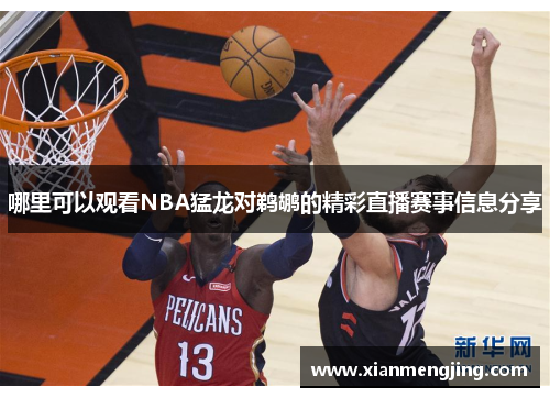 哪里可以观看NBA猛龙对鹈鹕的精彩直播赛事信息分享